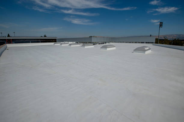 Best Green or Eco-Friendly Roofing Solutions  in Glasgow, DE